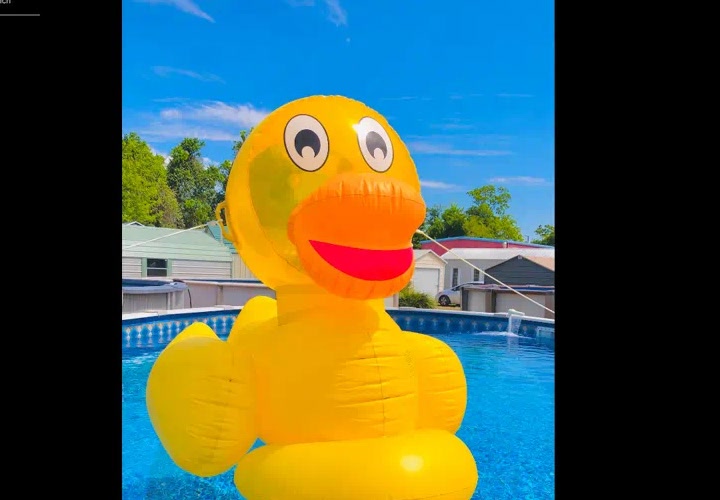 A large yellow inflatable duck floating in an above-ground pool, with portable buildings behind it on a sales lot.