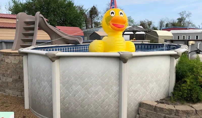 Round above-ground pool with a tan slide and a yellow inflatable duck, on a gravel lot with portable buildings behind it.